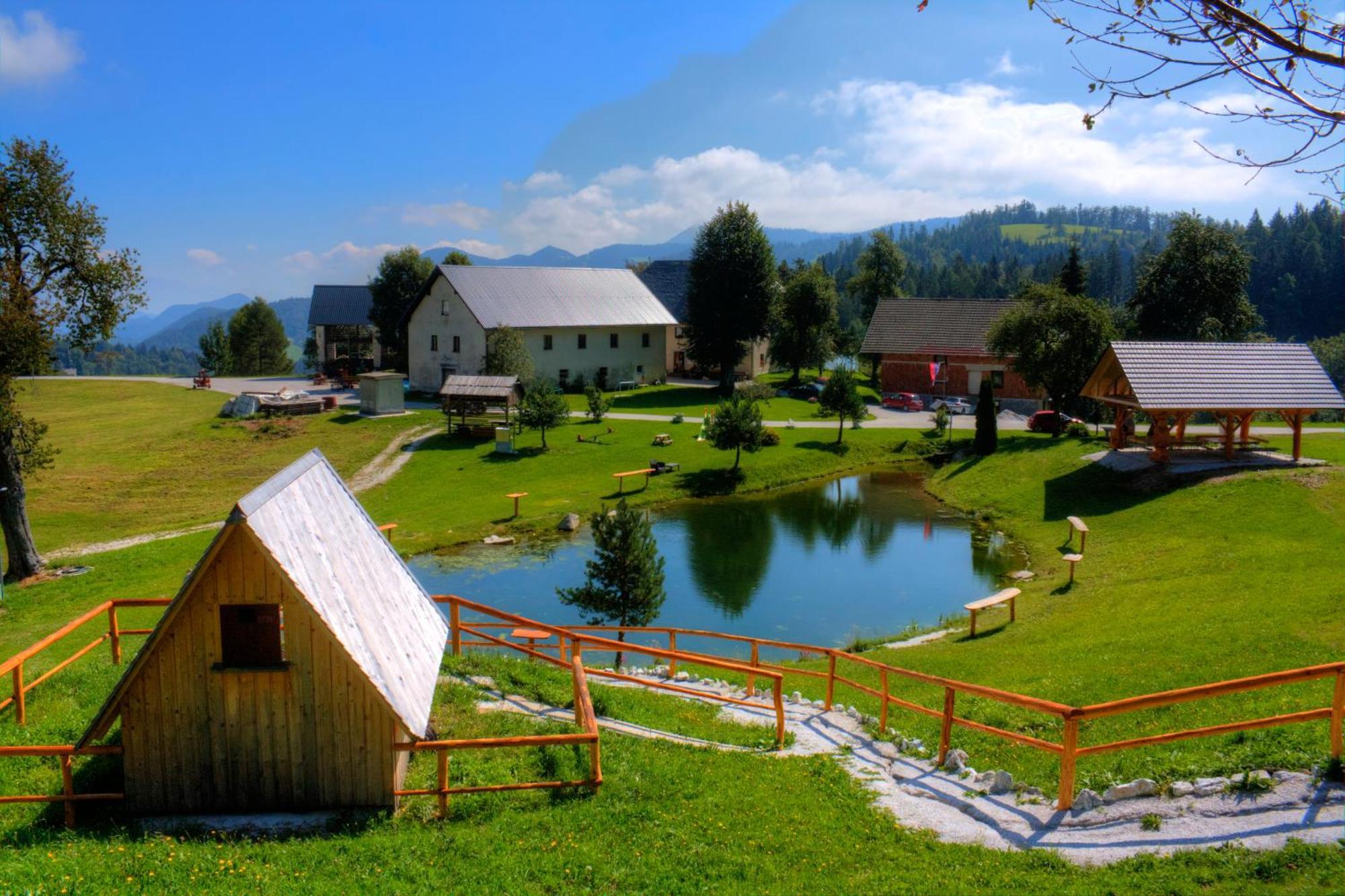 Wooden Chalet - Homestead Vrhovc Zelezniki Екстериор снимка