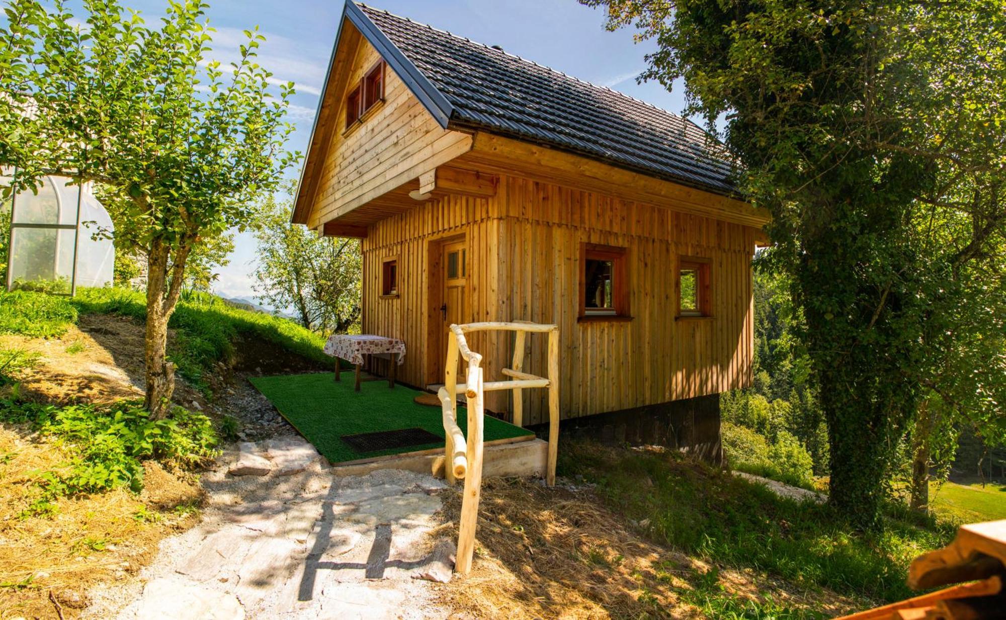 Wooden Chalet - Homestead Vrhovc Zelezniki Екстериор снимка